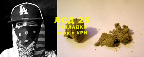 индика Ступино