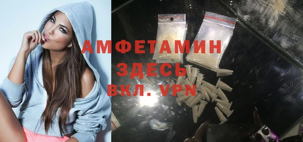 индика Ступино